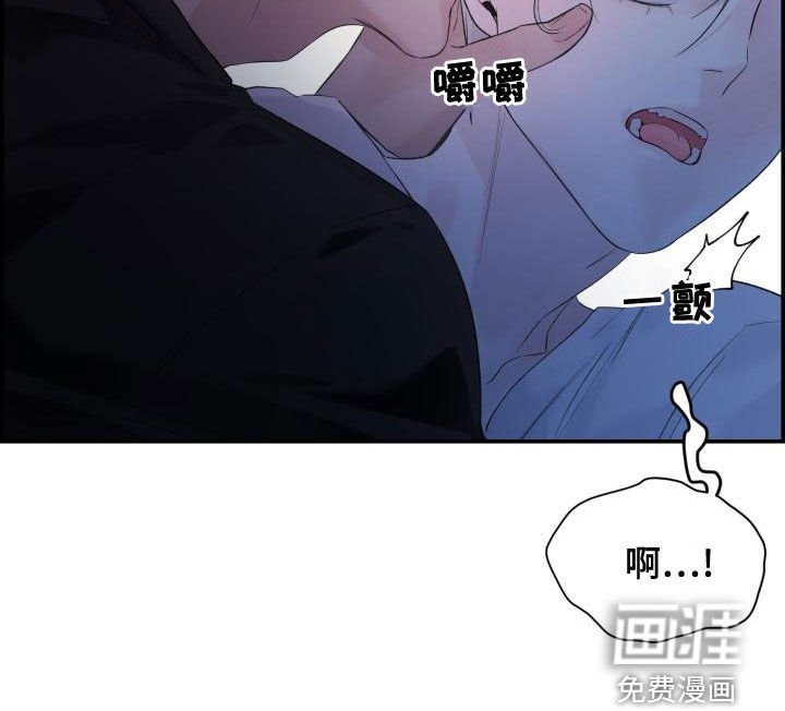 第43章：耳朵