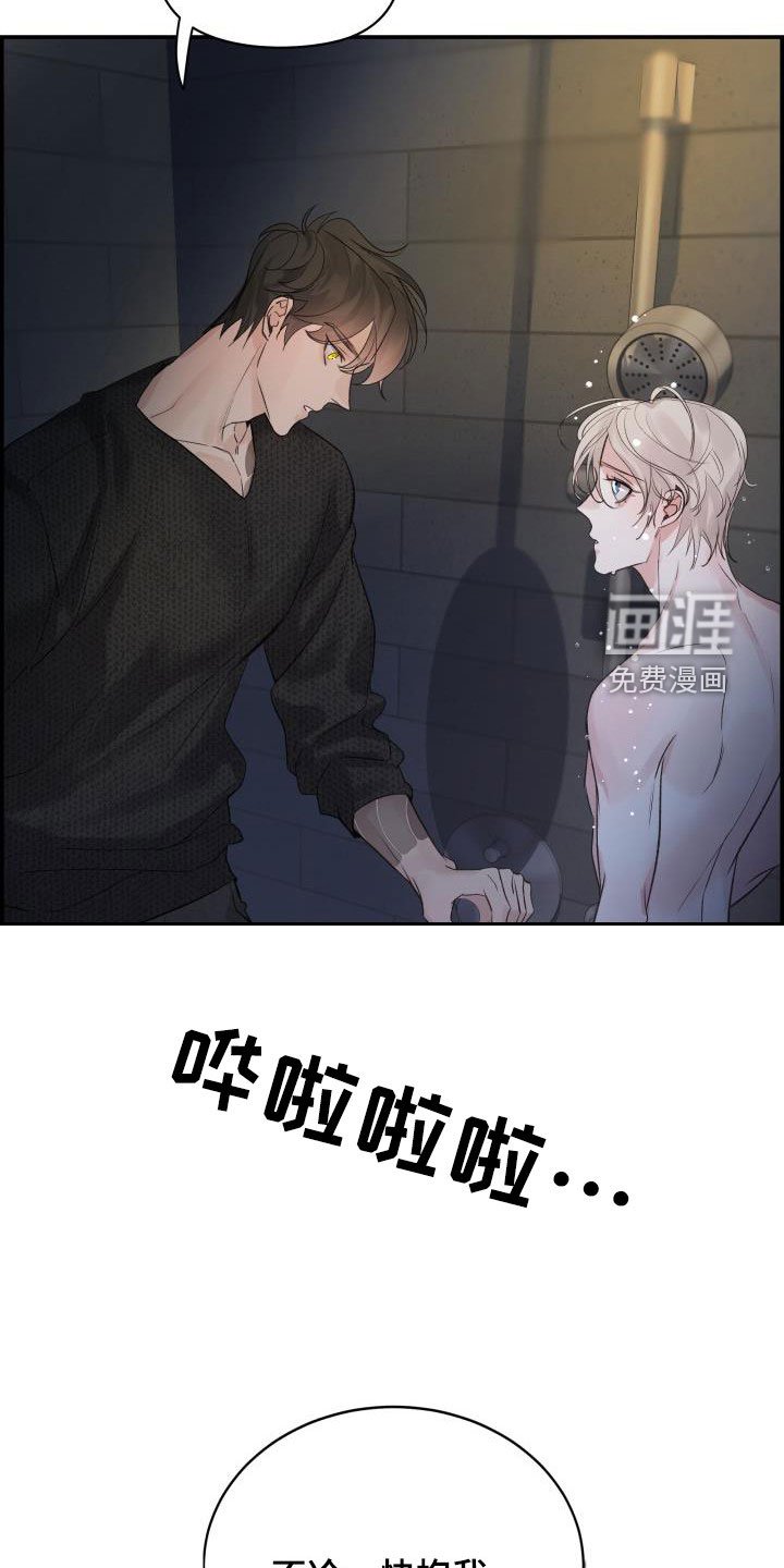 第56章：朋友