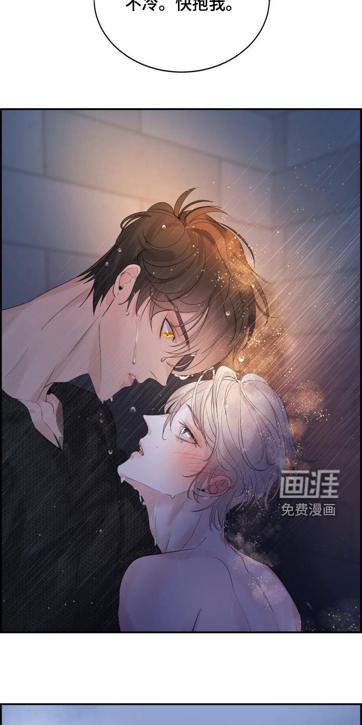 第56章：朋友