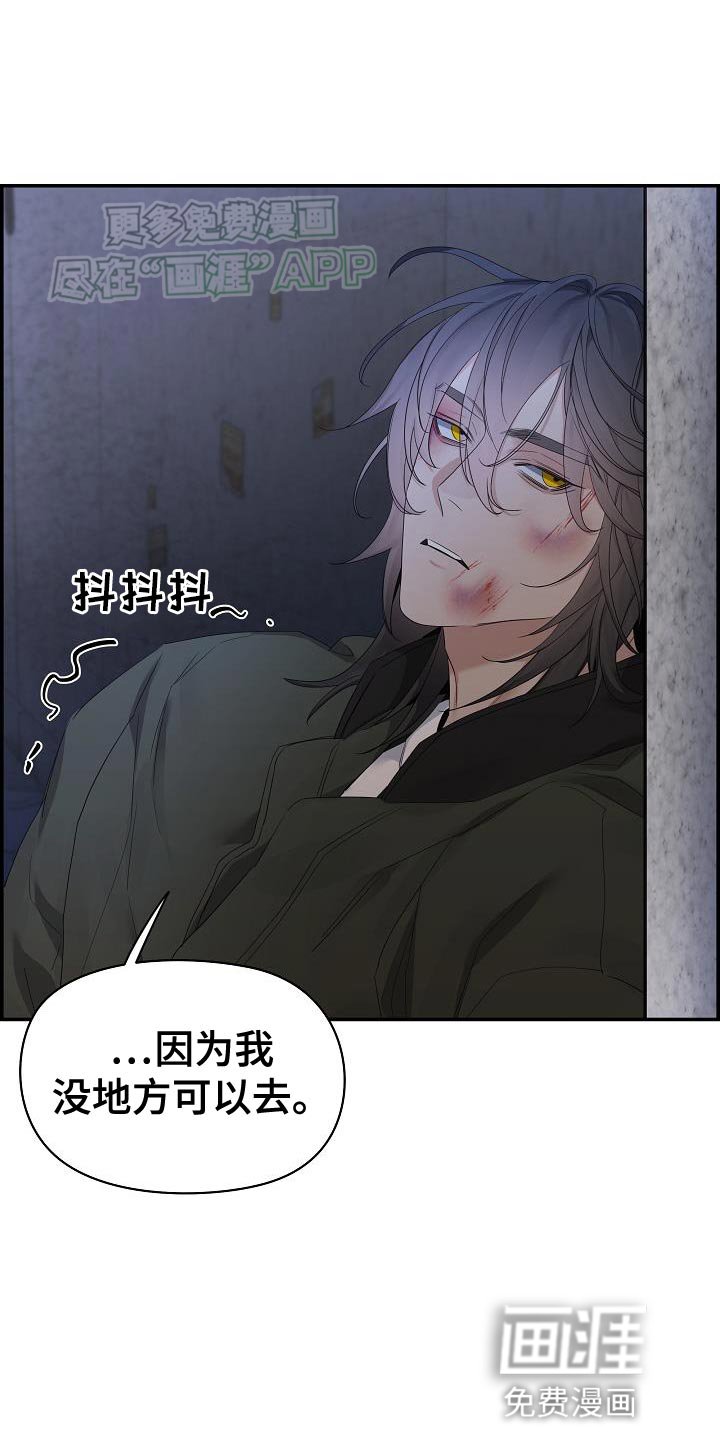 第81章：【第二季】没地方可以去