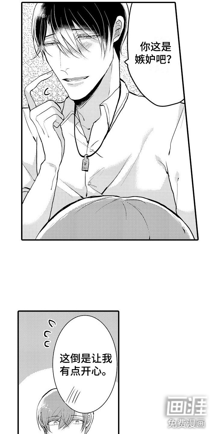 第13章：特别