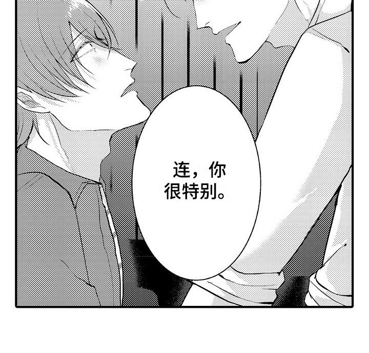 第13章：特别