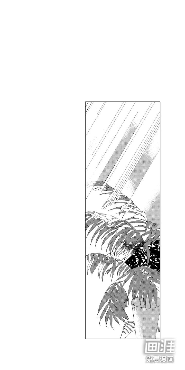 第21章：被打击