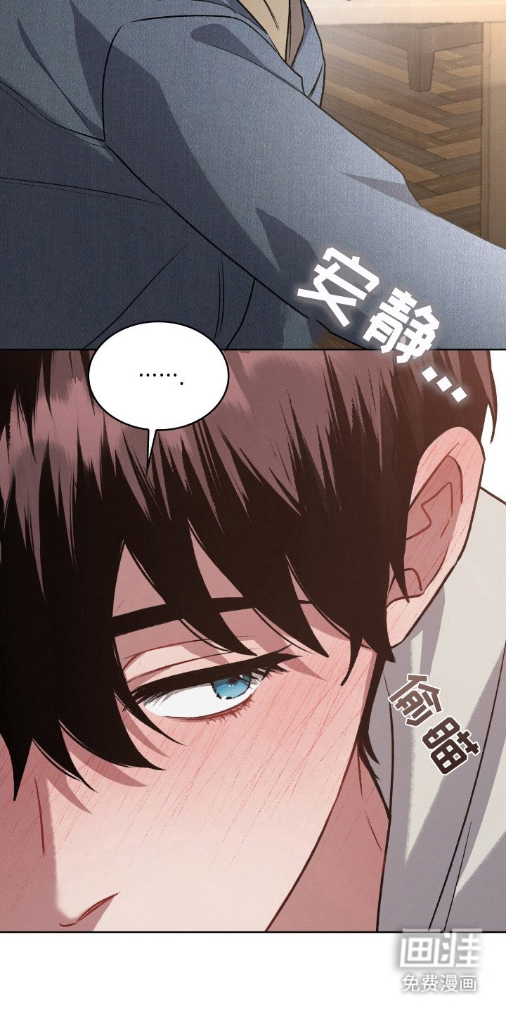 第11章：表白
