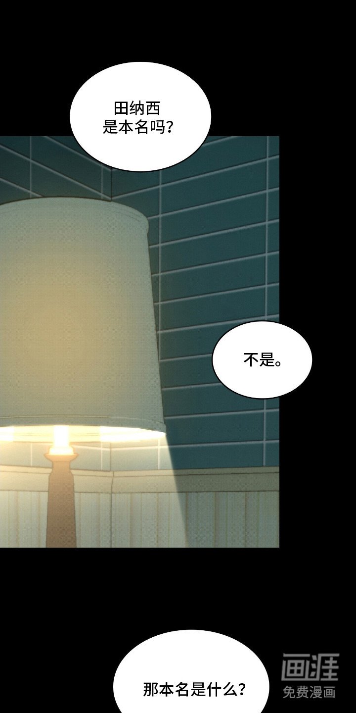 第11章：表白