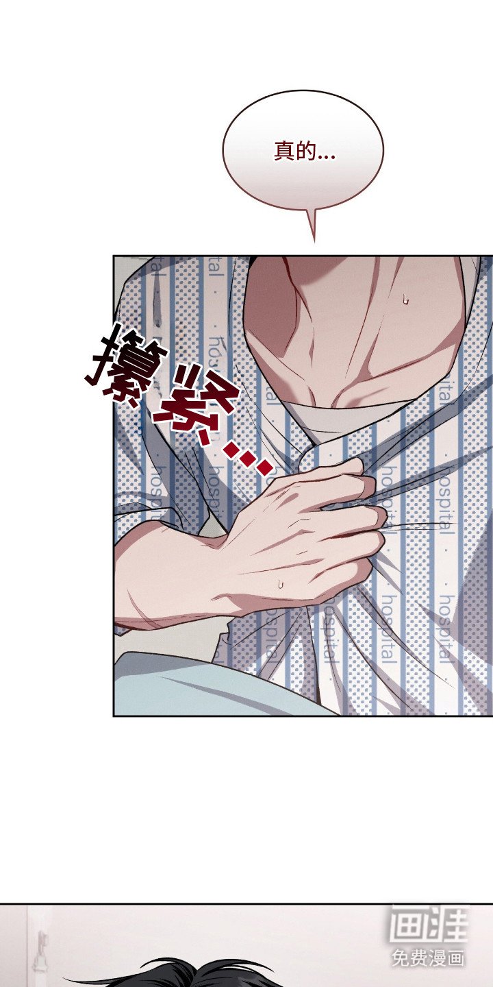第24章：人脸失认症