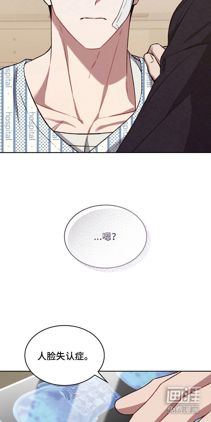 第24章：人脸失认症