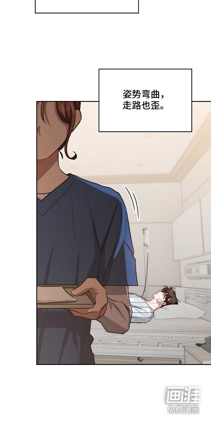 第24章：人脸失认症