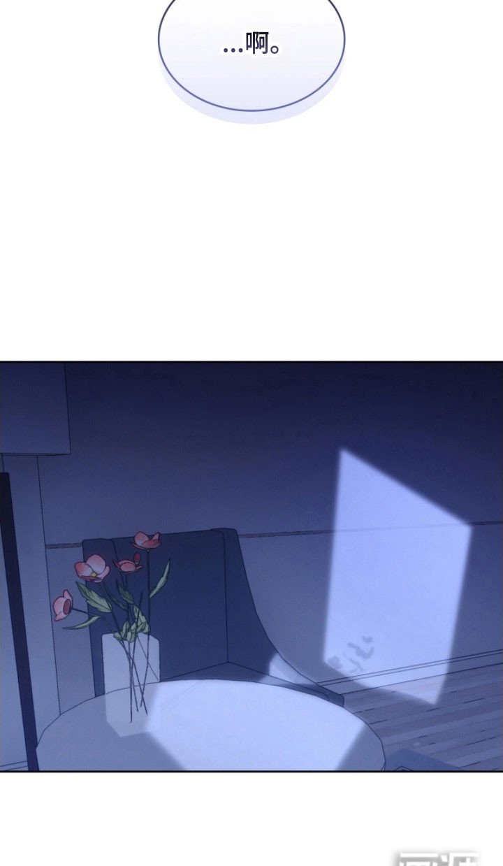 第37章：分不清脸