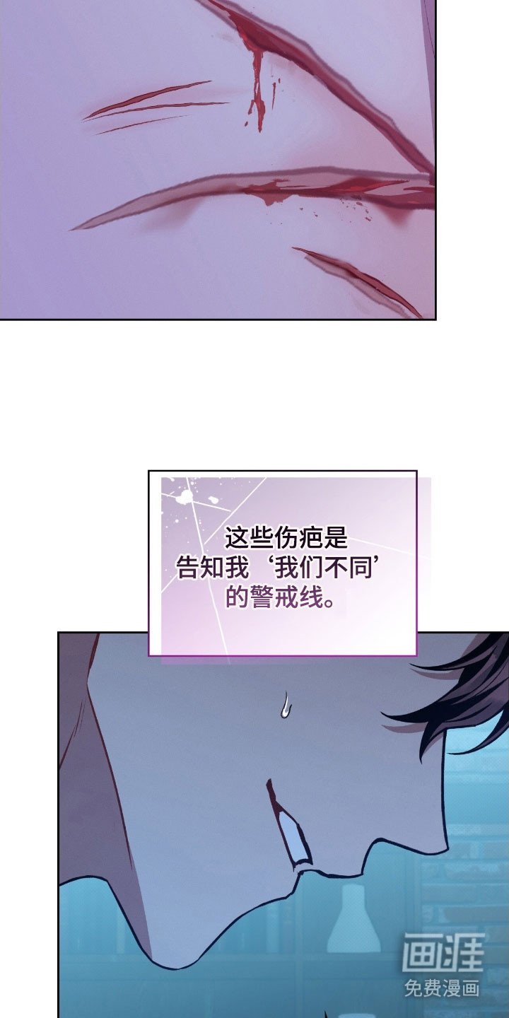 第50章：警戒线