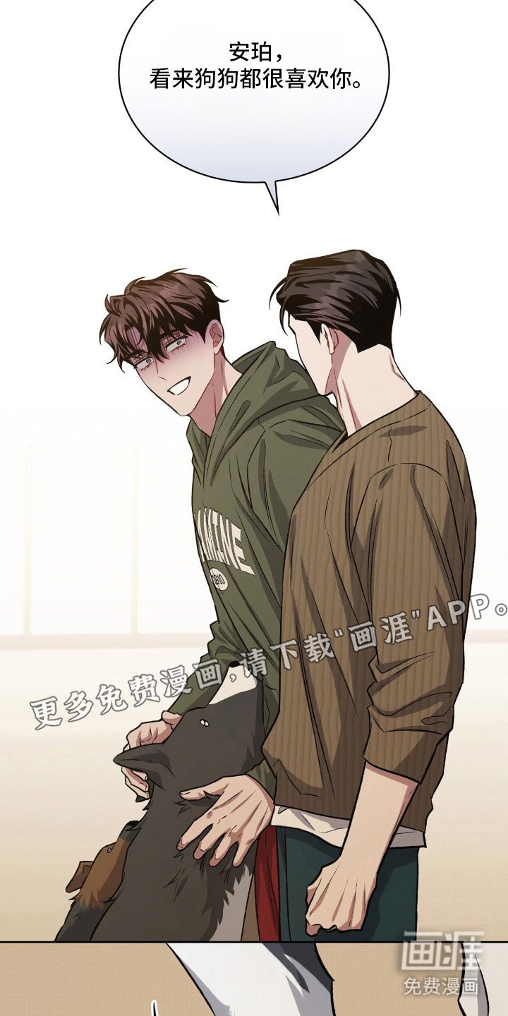 第67章：养只狗狗