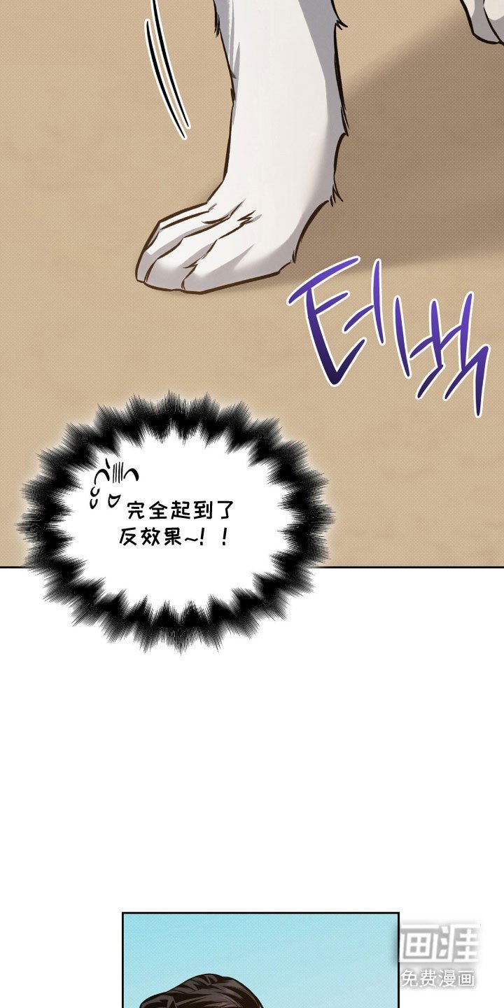第67章：养只狗狗