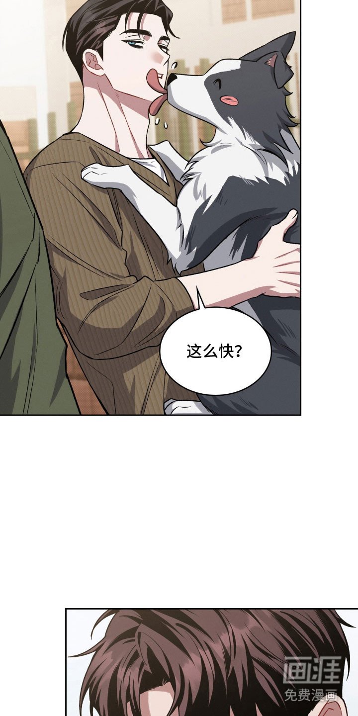 第67章：养只狗狗