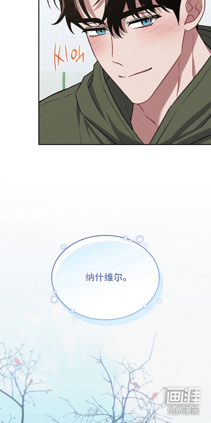 第67章：养只狗狗