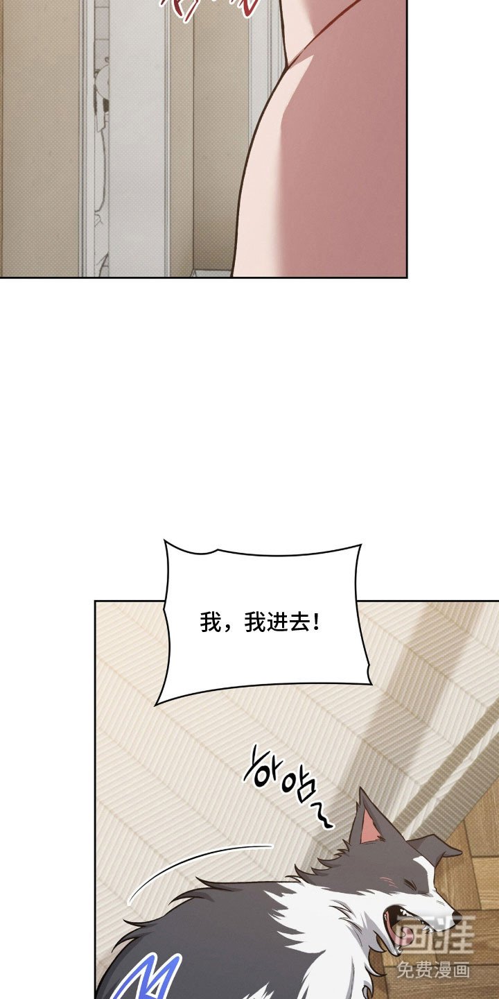 第67章：养只狗狗