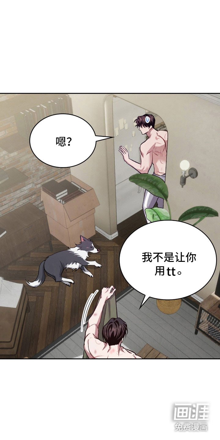 第68章：危险短信