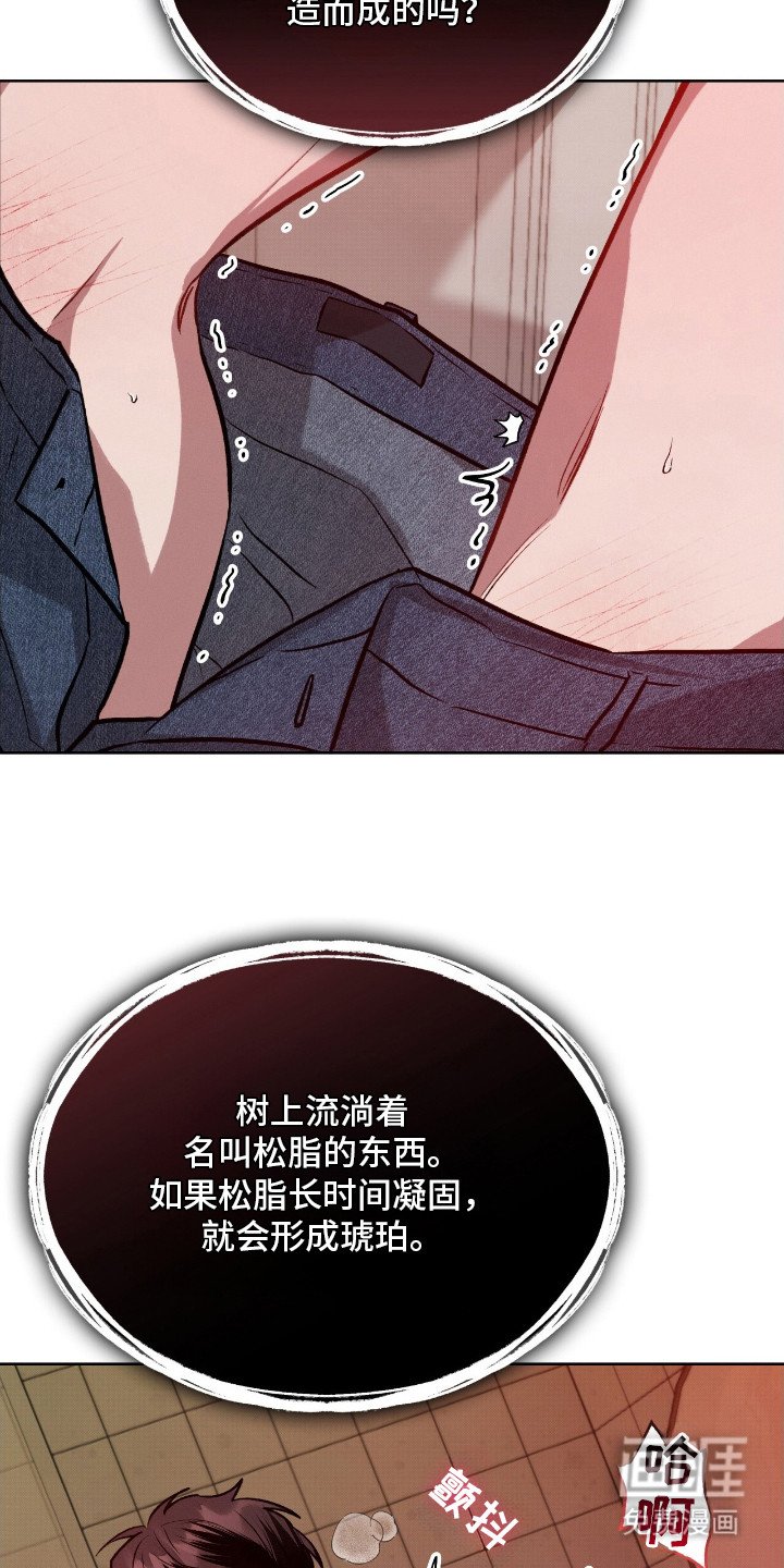 第8章：伤痕