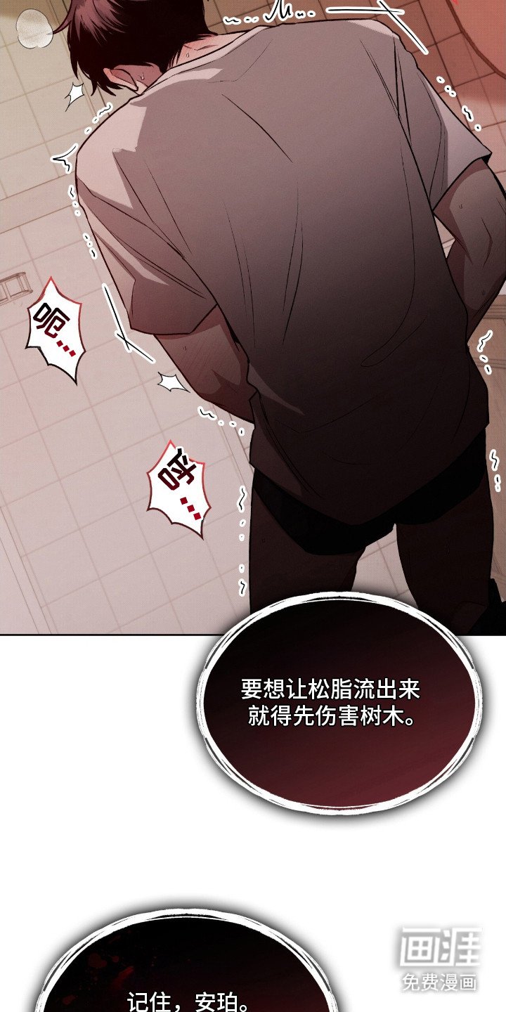 第8章：伤痕