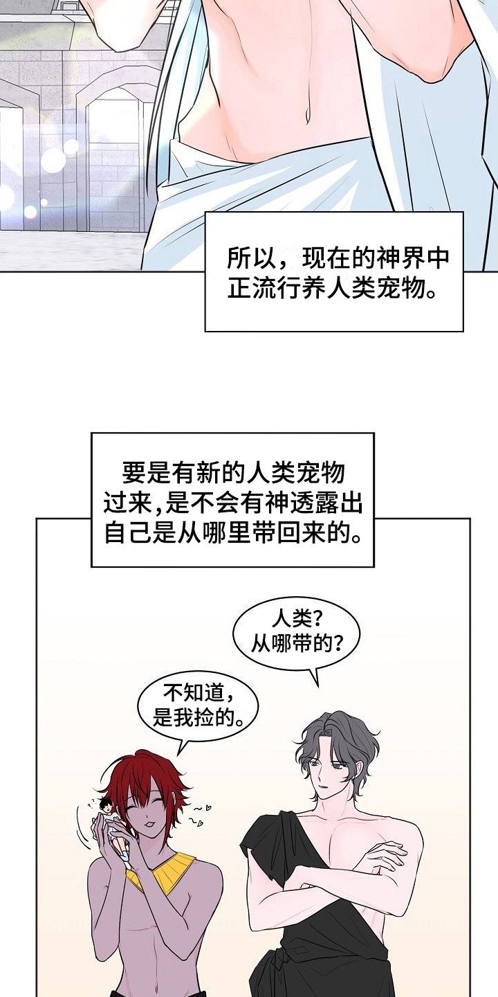 第1章：人类宠物