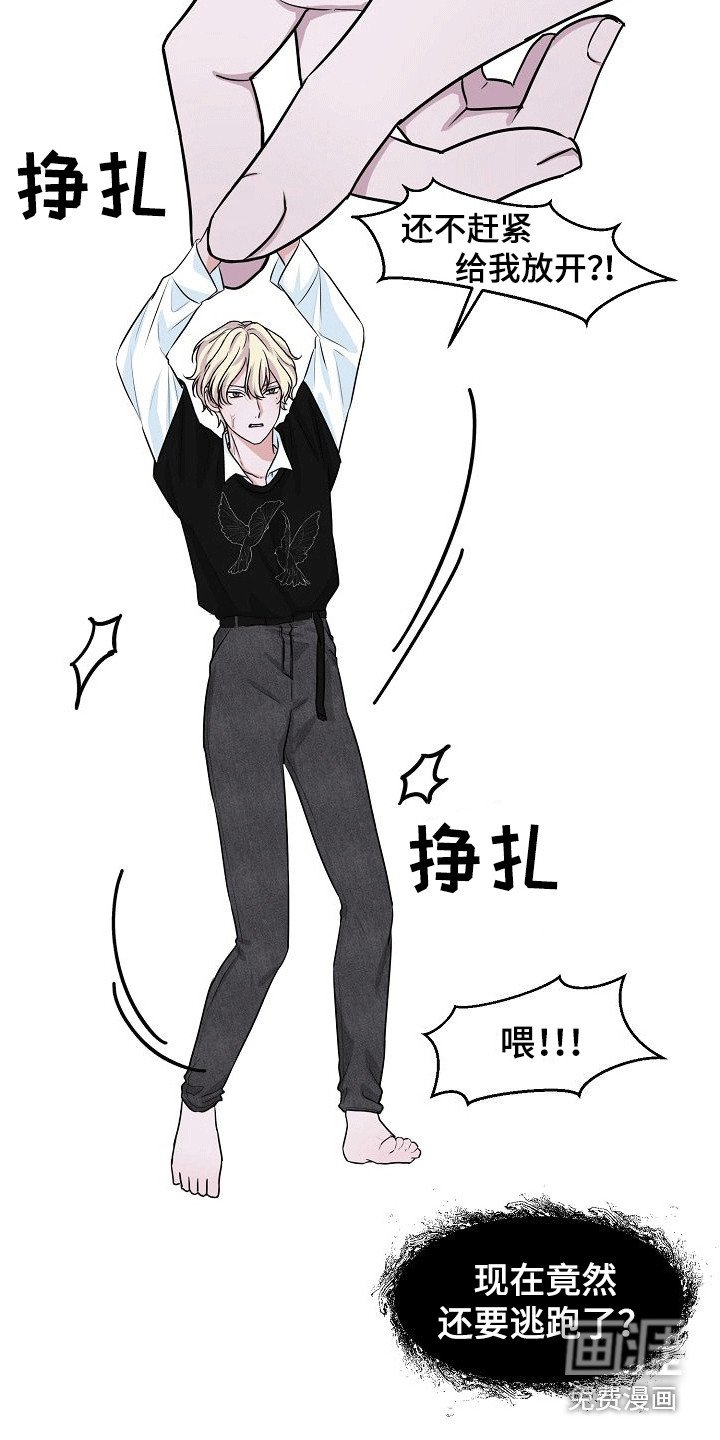 第5章：放肆
