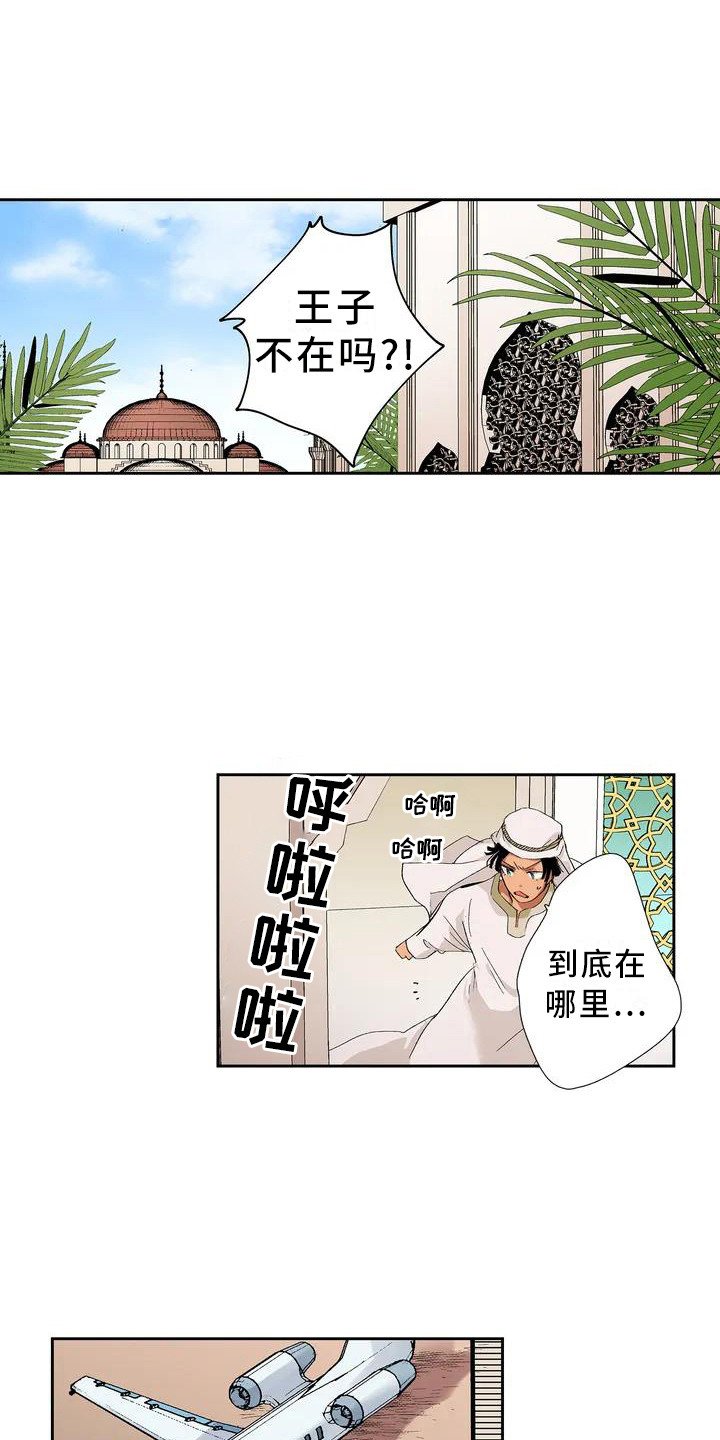 第1章：王子