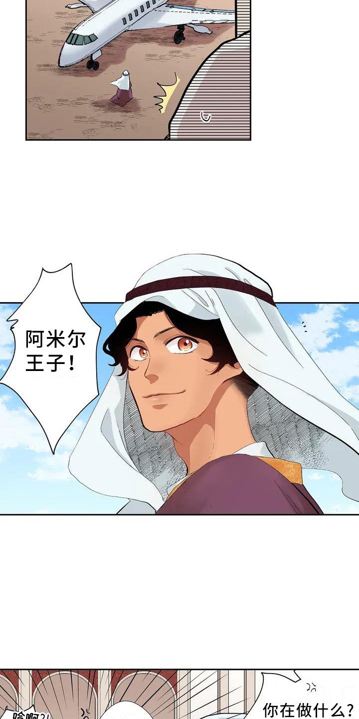 第1章：王子