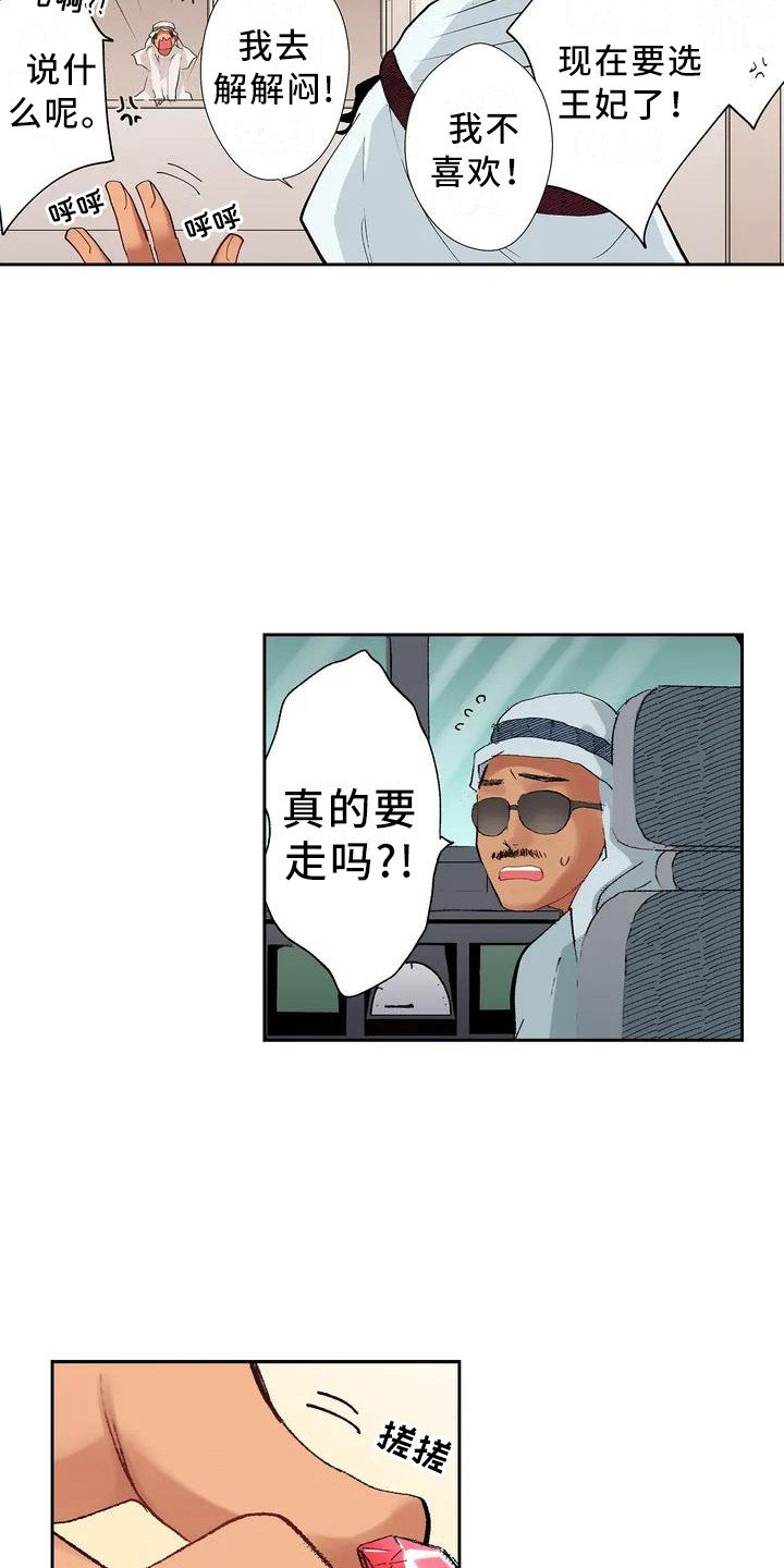 第1章：王子