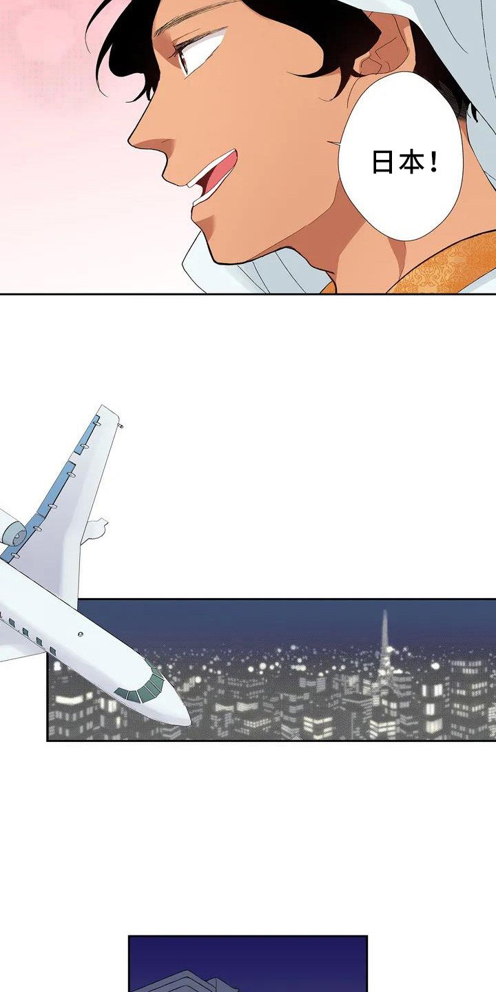 第1章：王子