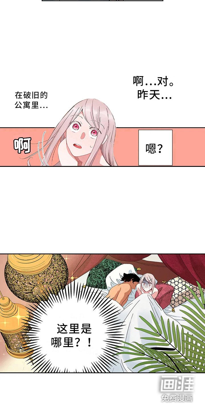 第5章：找到王妃了