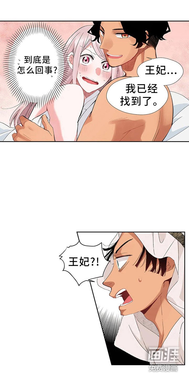 第5章：找到王妃了