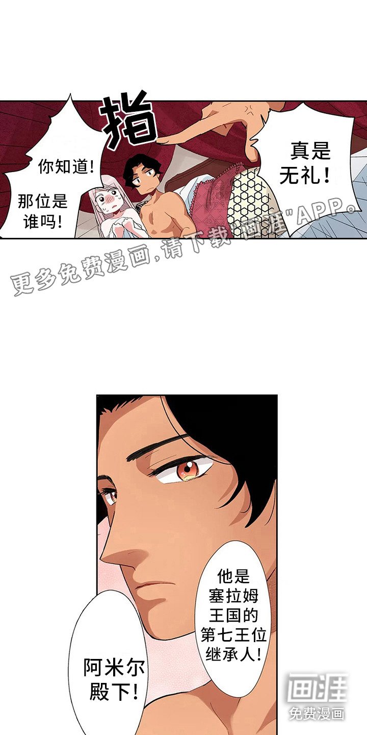 第6章：奢华