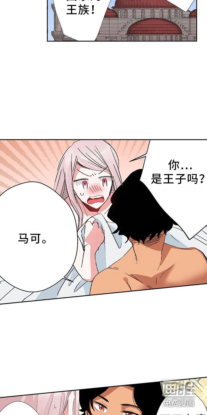第6章：奢华