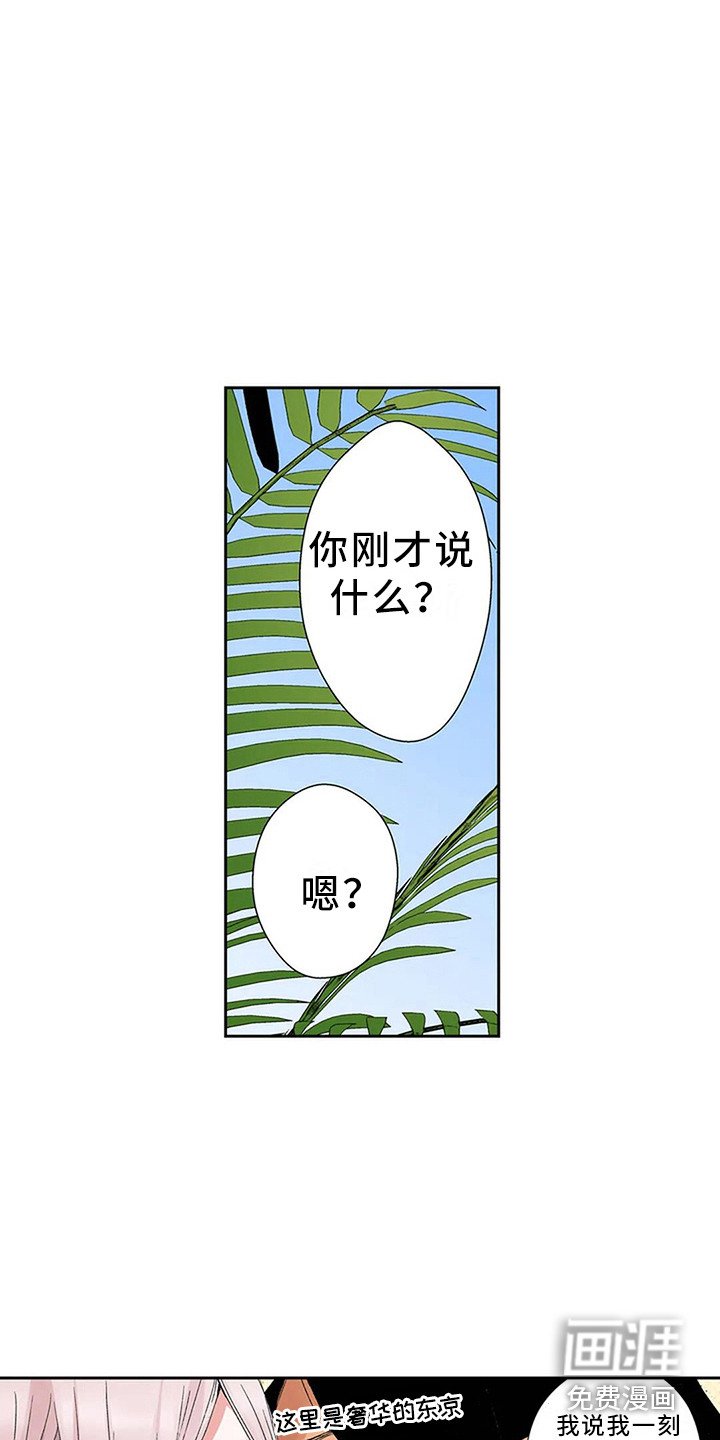 第6章：奢华