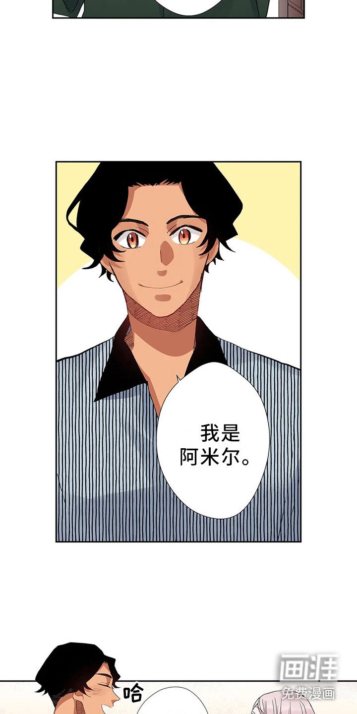 第9章：导游
