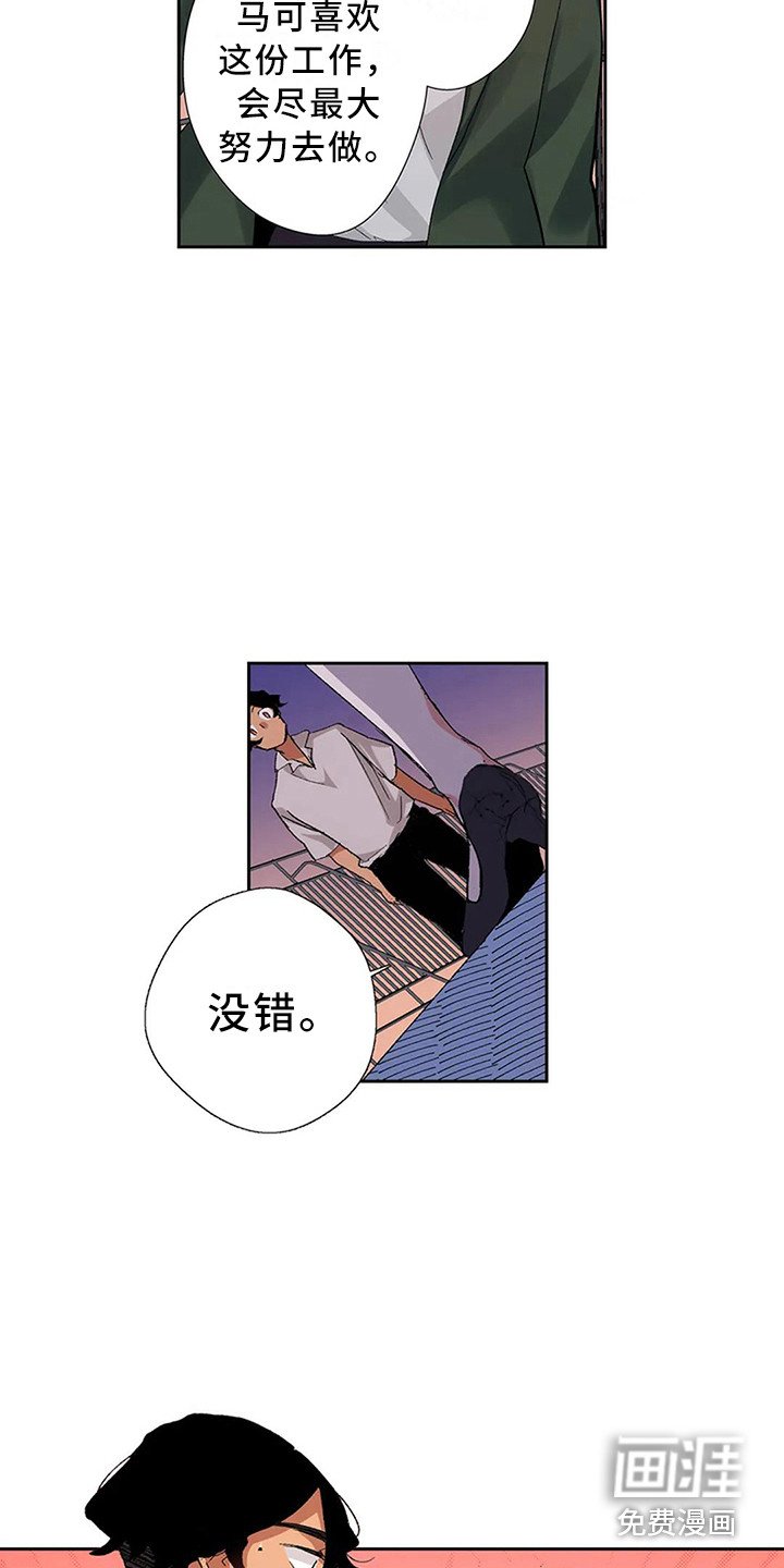 第9章：导游
