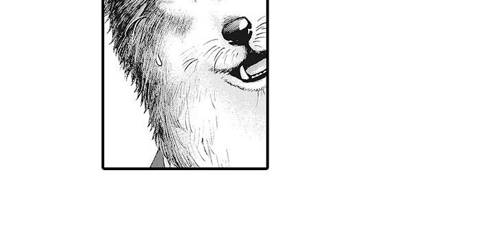 第1章：兽人