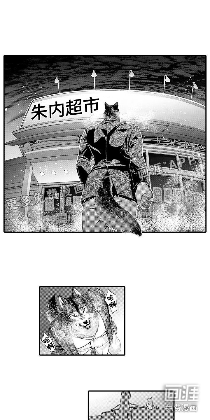 第11章：表白