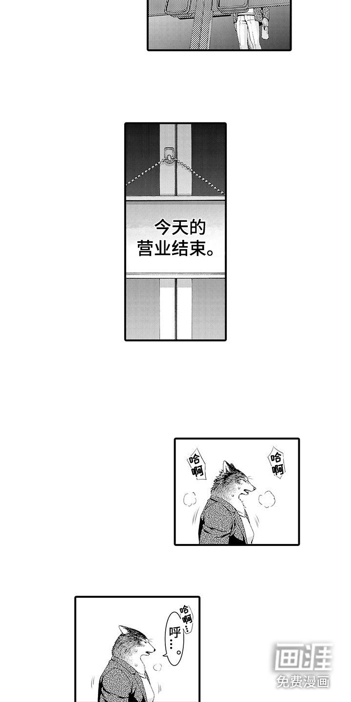 第11章：表白