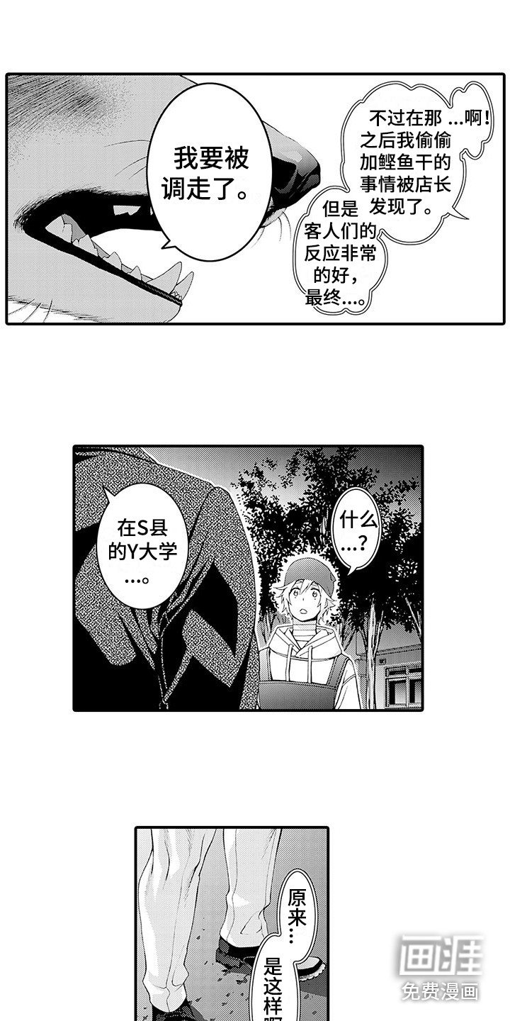 第11章：表白