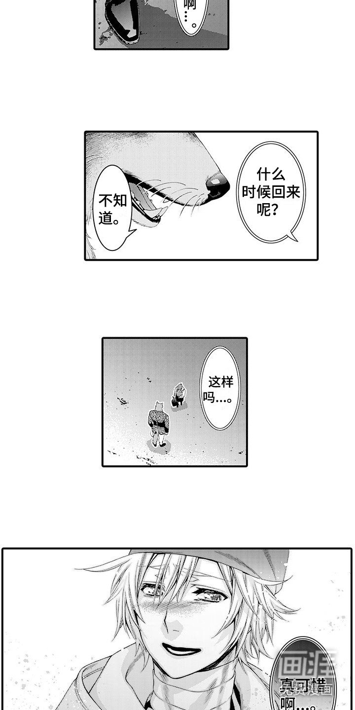 第11章：表白