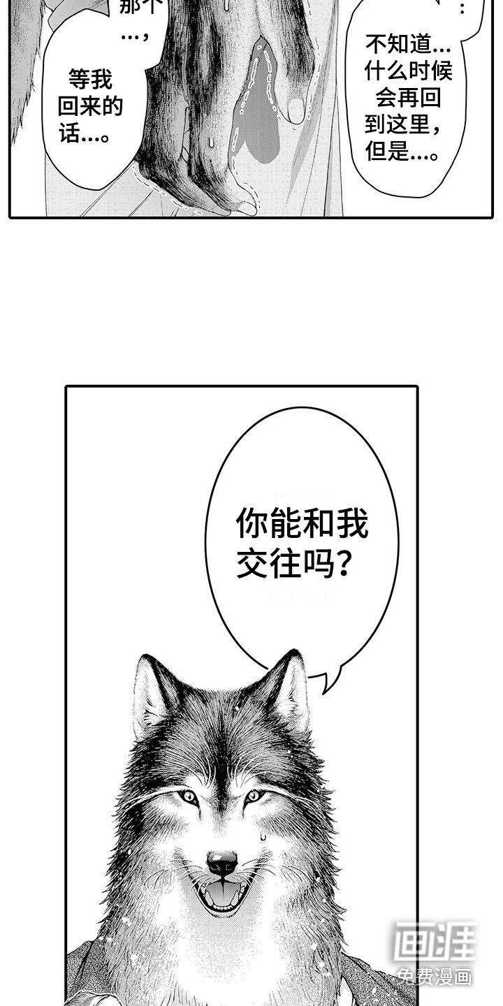 第11章：表白