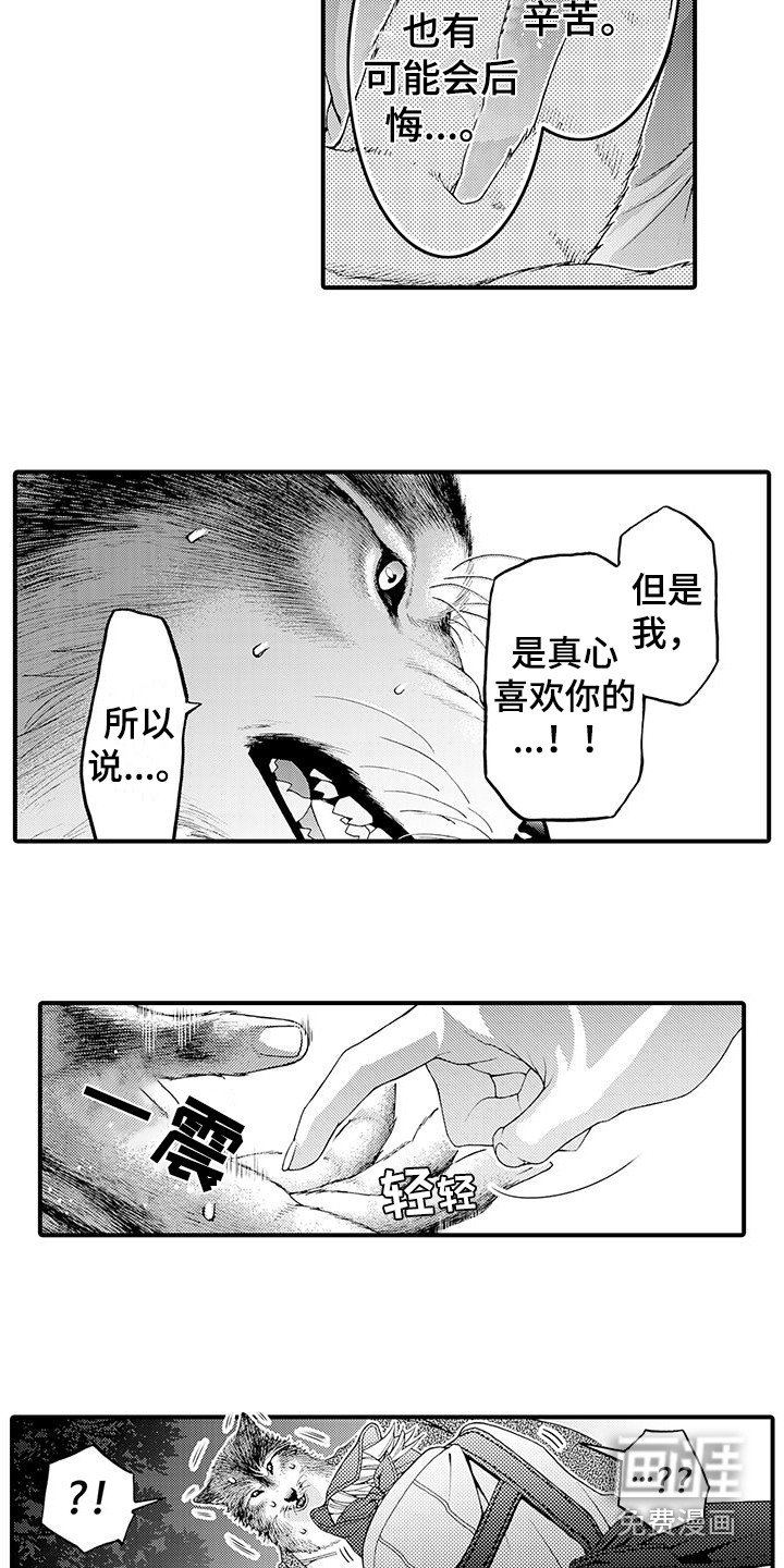 第11章：表白