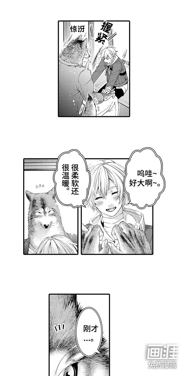 第16章：很柔软 