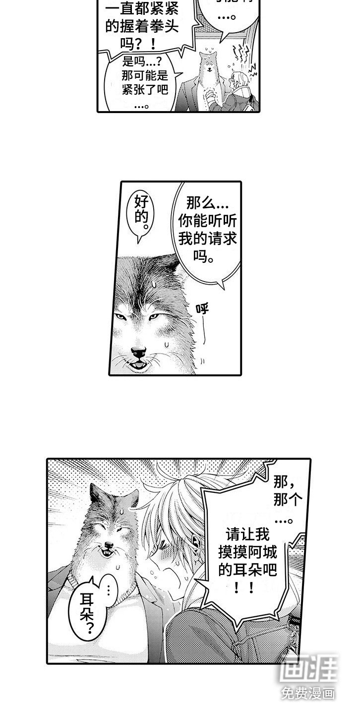 第16章：很柔软 