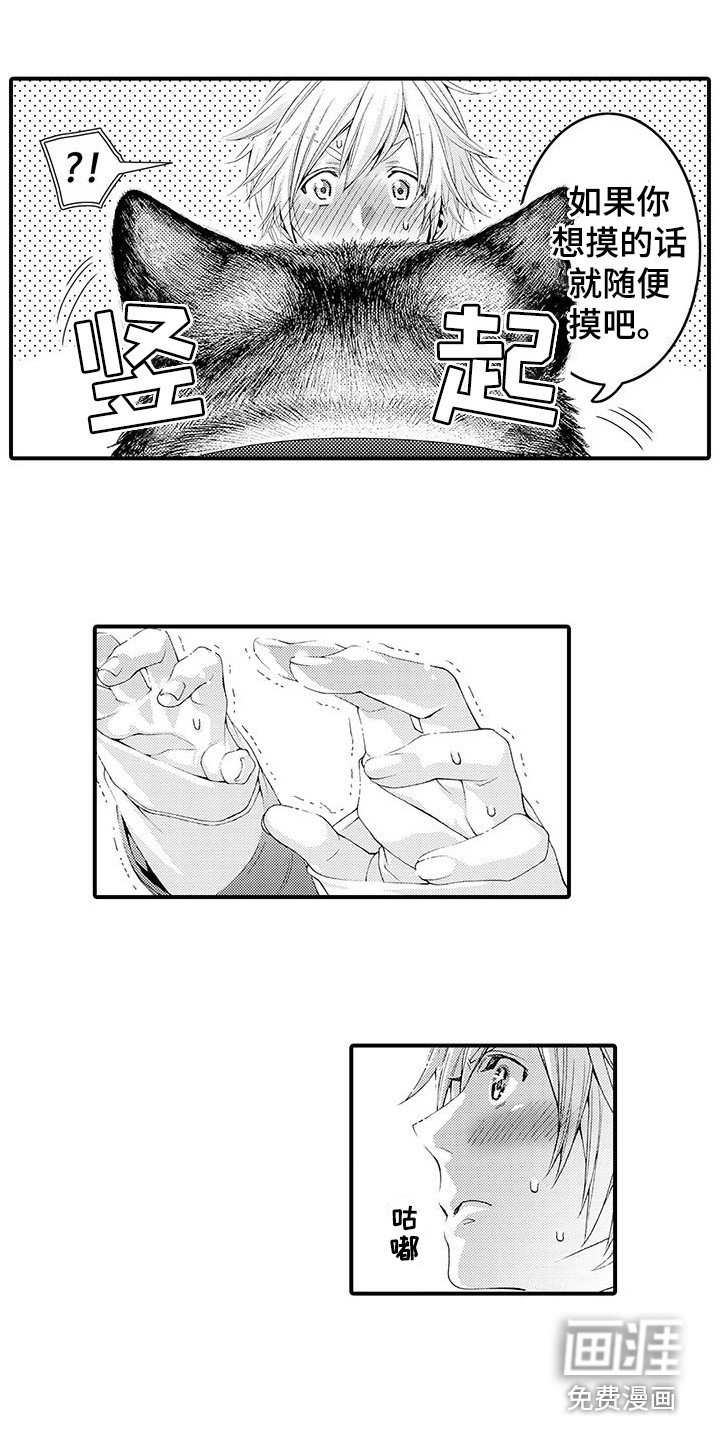 第16章：很柔软 