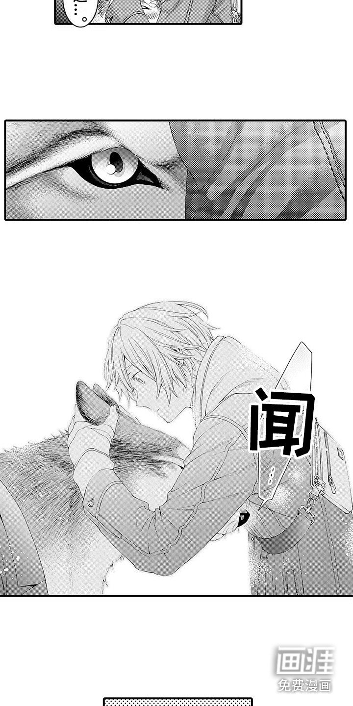 第16章：很柔软 