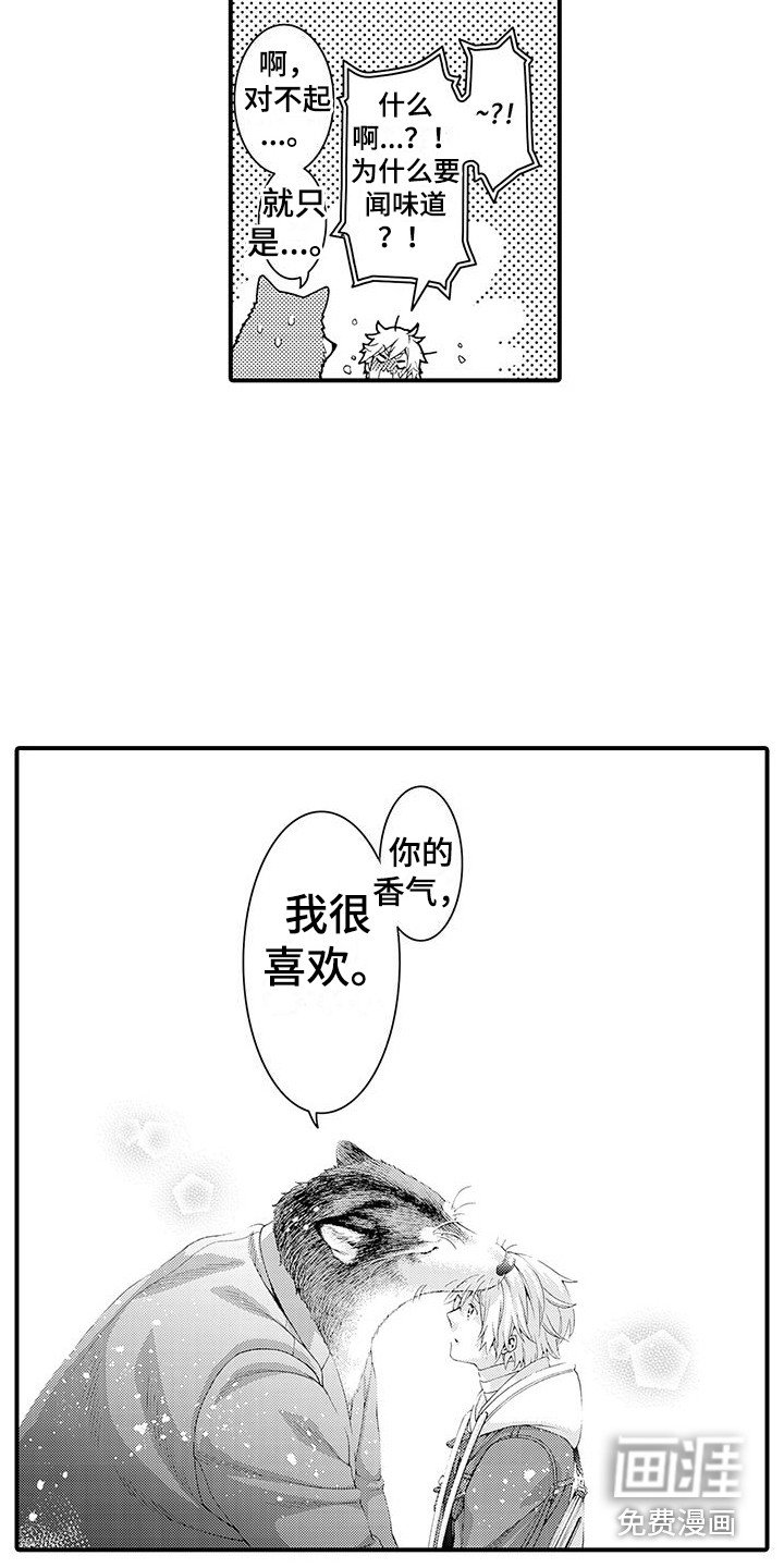 第16章：很柔软 