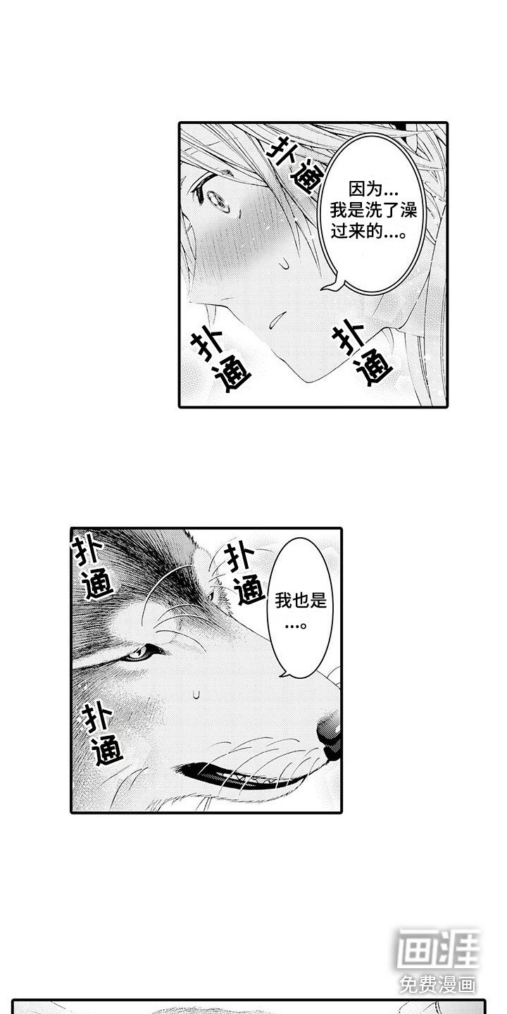 第16章：很柔软 