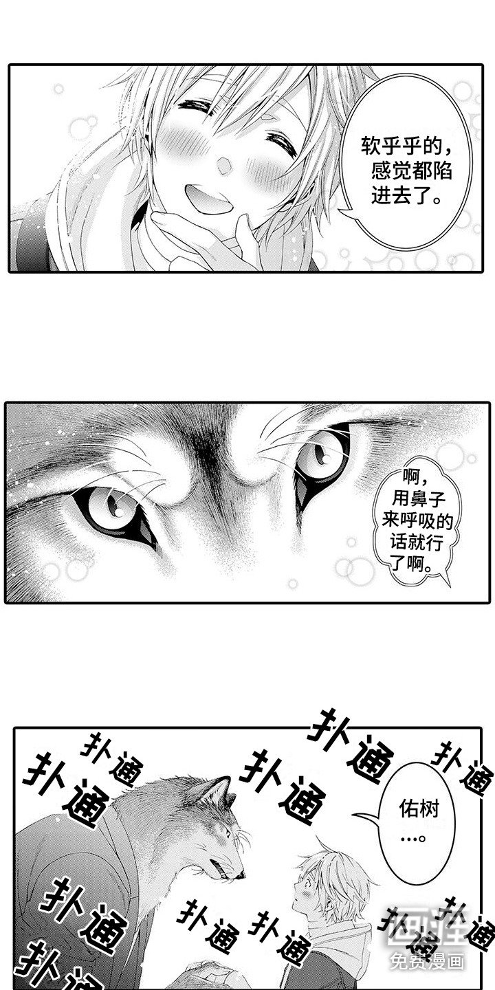 第17章：太诚实了 