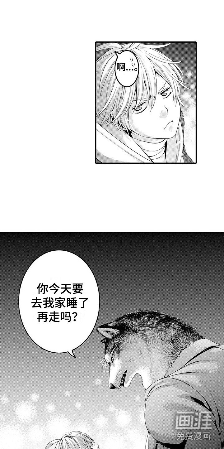 第17章：太诚实了 